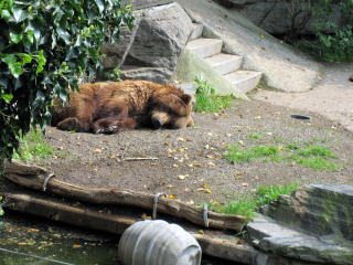 ケルン動物園の動物達