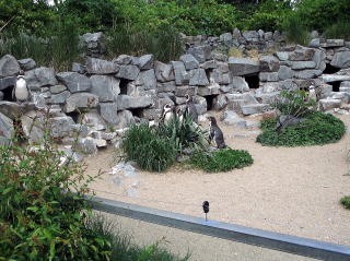 ケルン動物園 Kölner Zoo