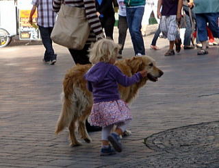 犬と少女