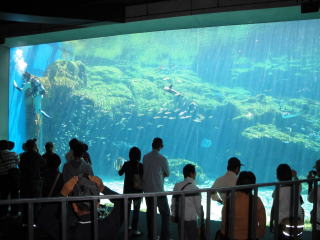 佐世保・九十九島水族館